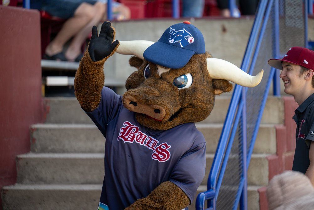 The Official Website of the Lethbridge Bulls: News