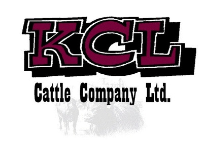 kcl-logo-3.jpg